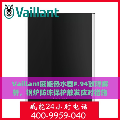 Vaillant威能热水器F.94故障解析，锅炉防冻保护触发应对措施
