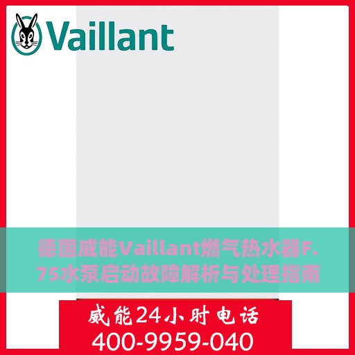 德国威能Vaillant燃气热水器F.75水泵启动故障解析与处理指南