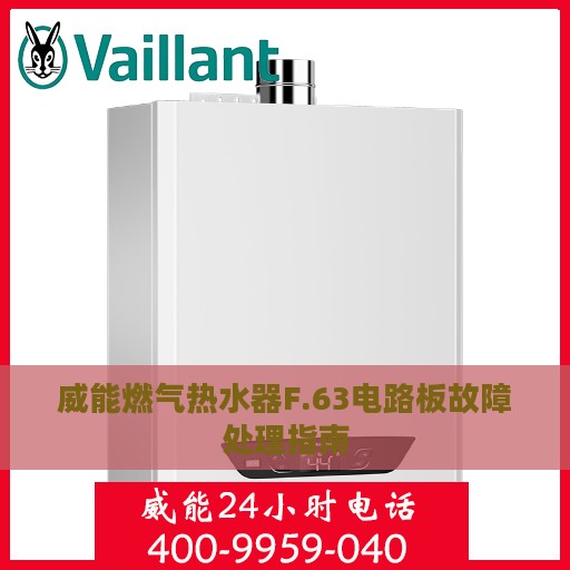 威能燃气热水器F.63电路板故障处理指南