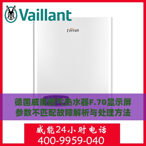 德国威能燃气热水器F.70显示屏参数不匹配故障解析与处理方法