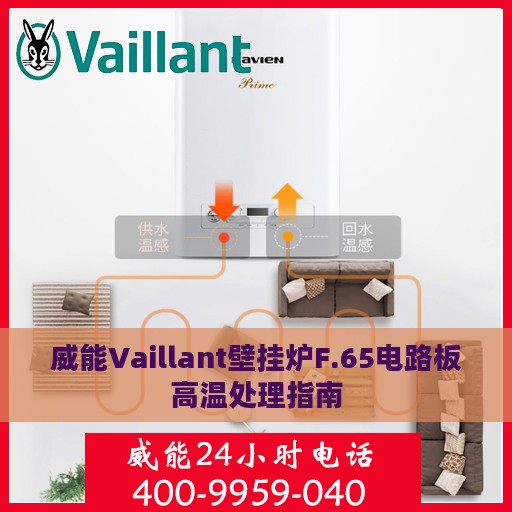 威能Vaillant壁挂炉F.65电路板高温处理指南