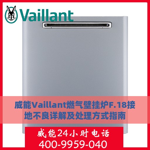威能Vaillant燃气壁挂炉F.18接地不良详解及处理方式指南
