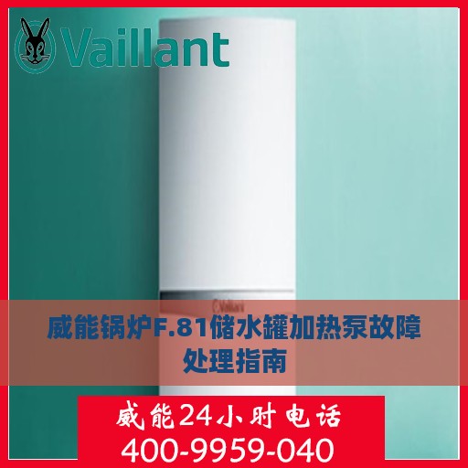 威能锅炉F.81储水罐加热泵故障处理指南