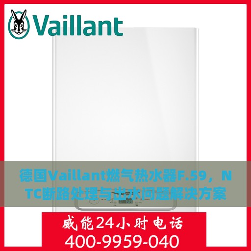 德国Vaillant燃气热水器F.59，NTC断路处理与出水问题解决方案攻略