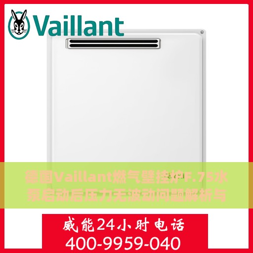 德国Vaillant燃气壁挂炉F.75水泵启动后压力无波动问题解析与处理方法