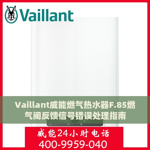 Vaillant威能燃气热水器F.85燃气阀反馈信号错误处理指南