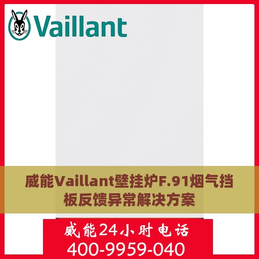 威能Vaillant壁挂炉F.91烟气挡板反馈异常解决方案