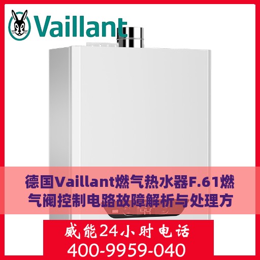 德国Vaillant燃气热水器F.61燃气阀控制电路故障解析与处理方法