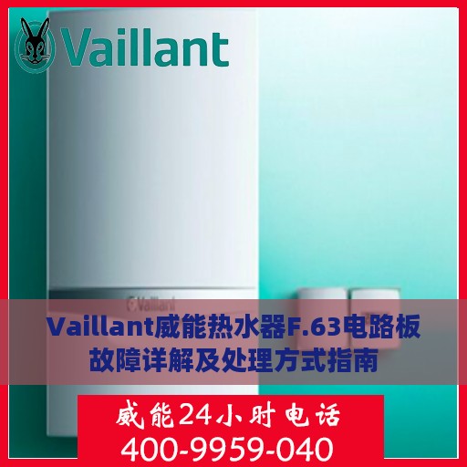 Vaillant威能热水器F.63电路板故障详解及处理方式指南
