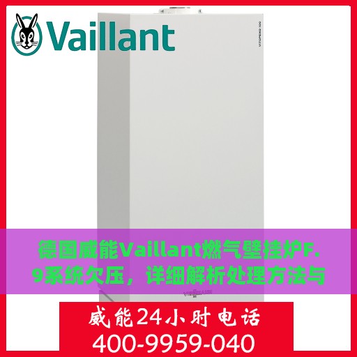 德国威能Vaillant燃气壁挂炉F.9系统欠压，详细解析处理方法与步骤