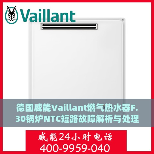 德国威能Vaillant燃气热水器F.30锅炉NTC短路故障解析与处理方法