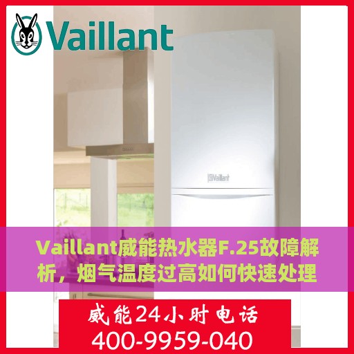 Vaillant威能热水器F.25故障解析，烟气温度过高如何快速处理