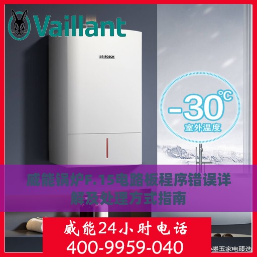 威能锅炉F.15电路板程序错误详解及处理方式指南