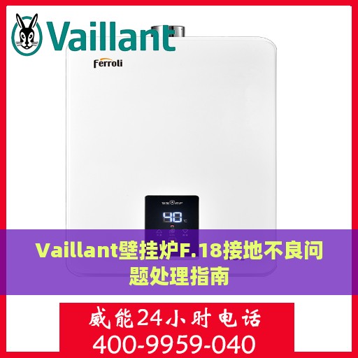 Vaillant壁挂炉F.18接地不良问题处理指南