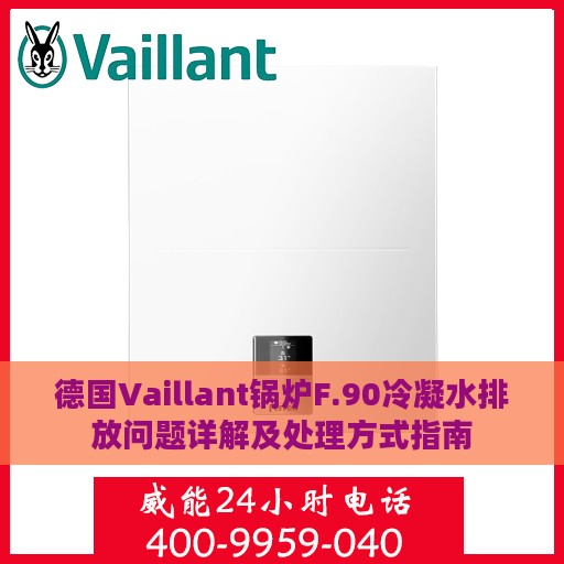 德国Vaillant锅炉F.90冷凝水排放问题详解及处理方式指南
