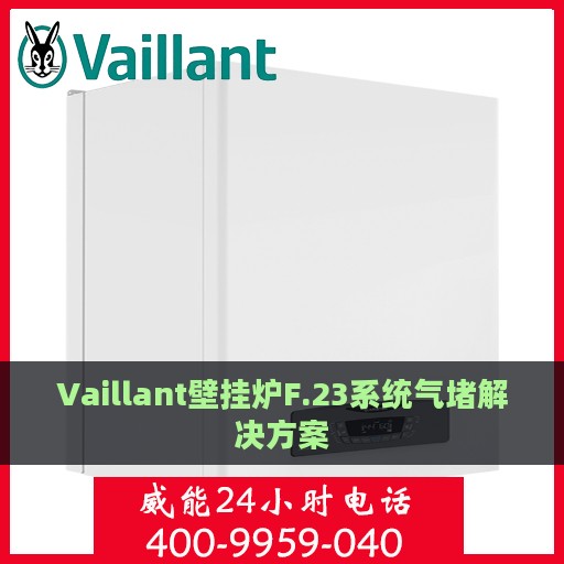 Vaillant壁挂炉F.23系统气堵解决方案