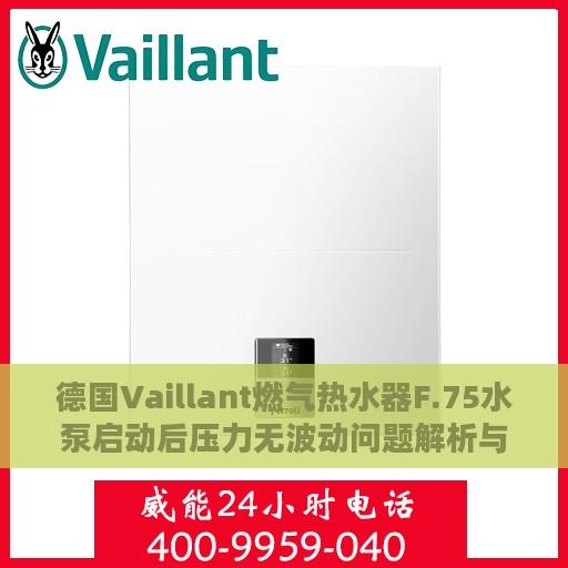 德国Vaillant燃气热水器F.75水泵启动后压力无波动问题解析与处理方法