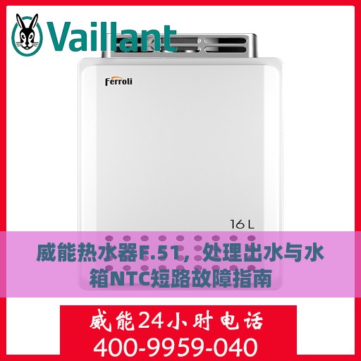 威能热水器F.51，处理出水与水箱NTC短路故障指南