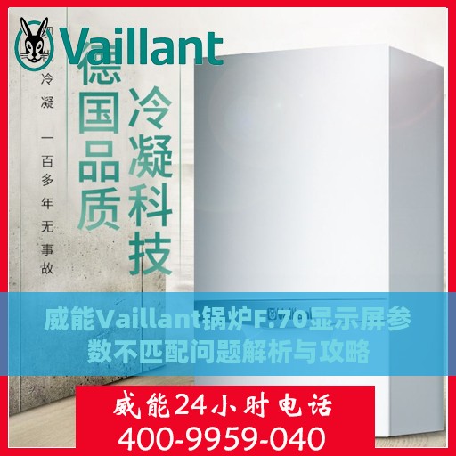 威能Vaillant锅炉F.70显示屏参数不匹配问题解析与攻略