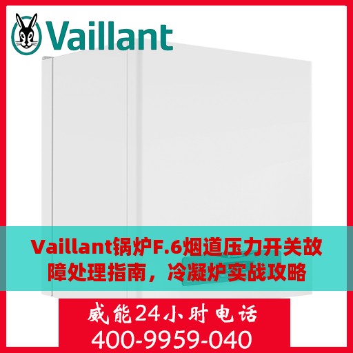 Vaillant锅炉F.6烟道压力开关故障处理指南，冷凝炉实战攻略