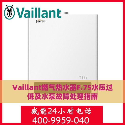 Vaillant燃气热水器F.75水压过低及水泵故障处理指南