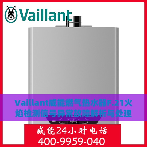 Vaillant威能燃气热水器F.21火焰检测信号异常故障解析与处理指南