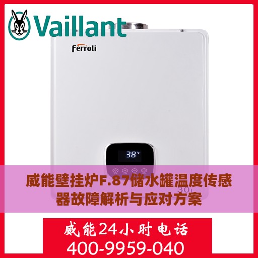 威能壁挂炉F.87储水罐温度传感器故障解析与应对方案