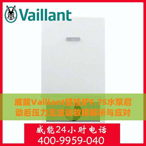 威能Vaillant壁挂炉F.75水泵启动后压力无波动故障解析与应对指南