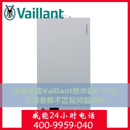德国威能Vaillant热水器F.70显示屏参数不匹配问题解析
