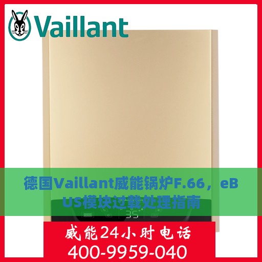德国Vaillant威能锅炉F.66，eBUS模块过载处理指南