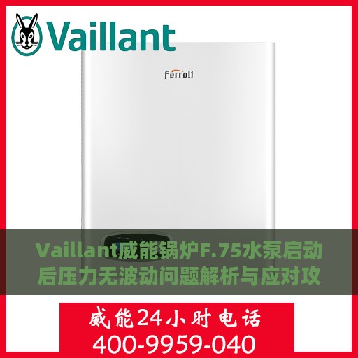 Vaillant威能锅炉F.75水泵启动后压力无波动问题解析与应对攻略