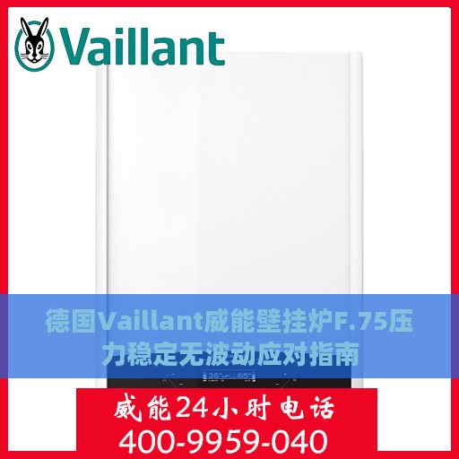 德国Vaillant威能壁挂炉F.75压力稳定无波动应对指南