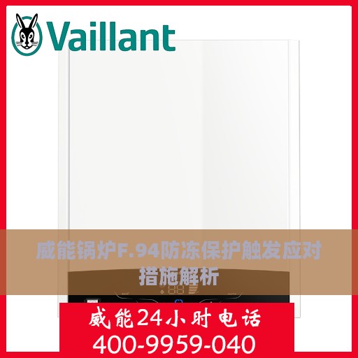 威能锅炉F.94防冻保护触发应对措施解析