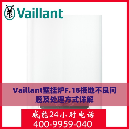 Vaillant壁挂炉F.18接地不良问题及处理方式详解