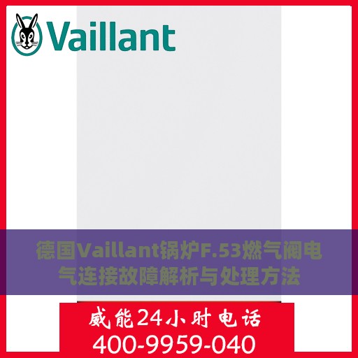 德国Vaillant锅炉F.53燃气阀电气连接故障解析与处理方法