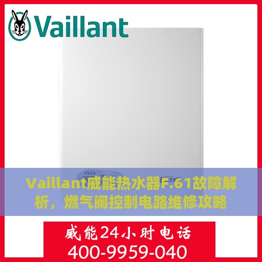 Vaillant威能热水器F.61故障解析，燃气阀控制电路维修攻略