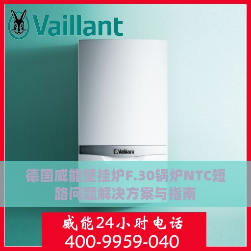 德国威能壁挂炉F.30锅炉NTC短路问题解决方案与指南