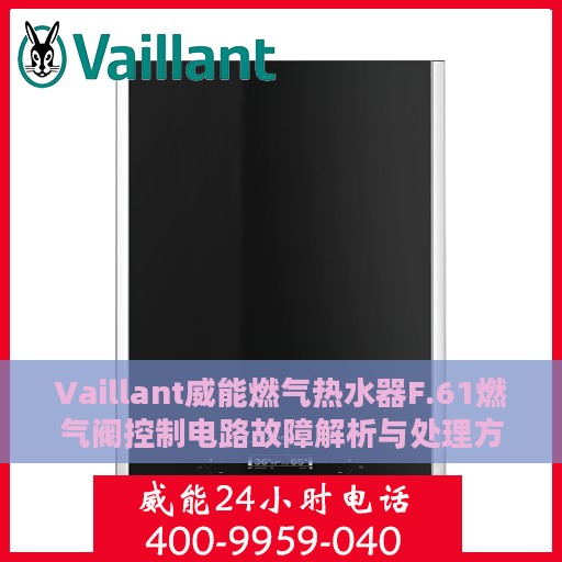Vaillant威能燃气热水器F.61燃气阀控制电路故障解析与处理方法指南