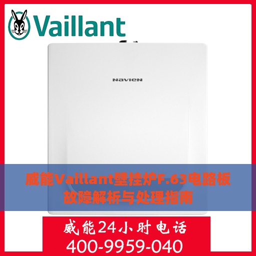 威能Vaillant壁挂炉F.63电路板故障解析与处理指南