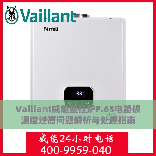 Vaillant威能壁挂炉F.65电路板温度过高问题解析与处理指南