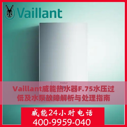 Vaillant威能热水器F.75水压过低及水泵故障解析与处理指南