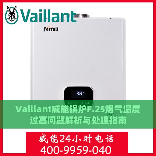 Vaillant威能锅炉F.25烟气温度过高问题解析与处理指南