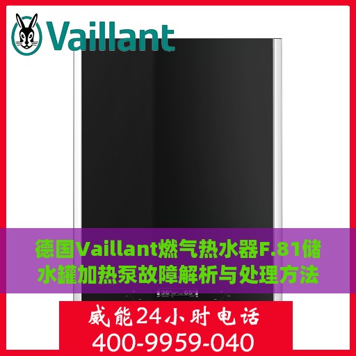 德国Vaillant燃气热水器F.81储水罐加热泵故障解析与处理方法