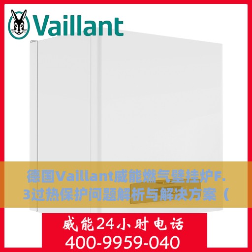 德国Vaillant威能燃气壁挂炉F.3过热保护问题解析与解决方案（冷凝炉篇）