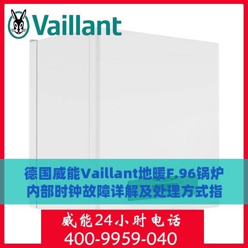 德国威能Vaillant地暖F.96锅炉内部时钟故障详解及处理方式指南
