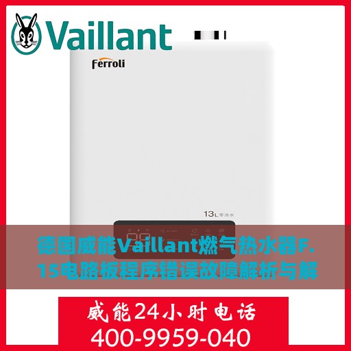 德国威能Vaillant燃气热水器F.15电路板程序错误故障解析与解决方案