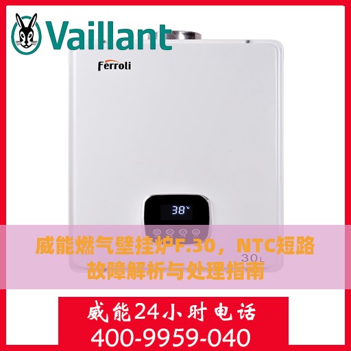 威能燃气壁挂炉F.30，NTC短路故障解析与处理指南