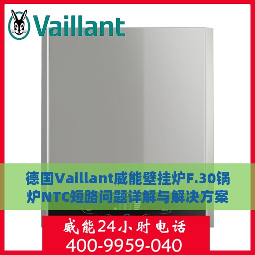 德国Vaillant威能壁挂炉F.30锅炉NTC短路问题详解与解决方案