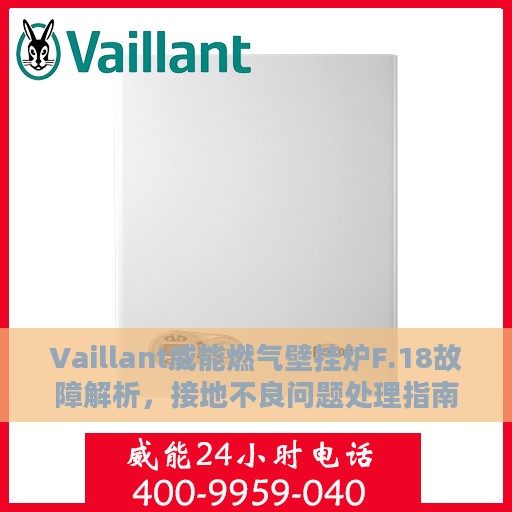 Vaillant威能燃气壁挂炉F.18故障解析，接地不良问题处理指南
