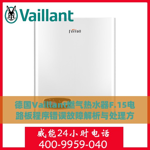 德国Vaillant燃气热水器F.15电路板程序错误故障解析与处理方法